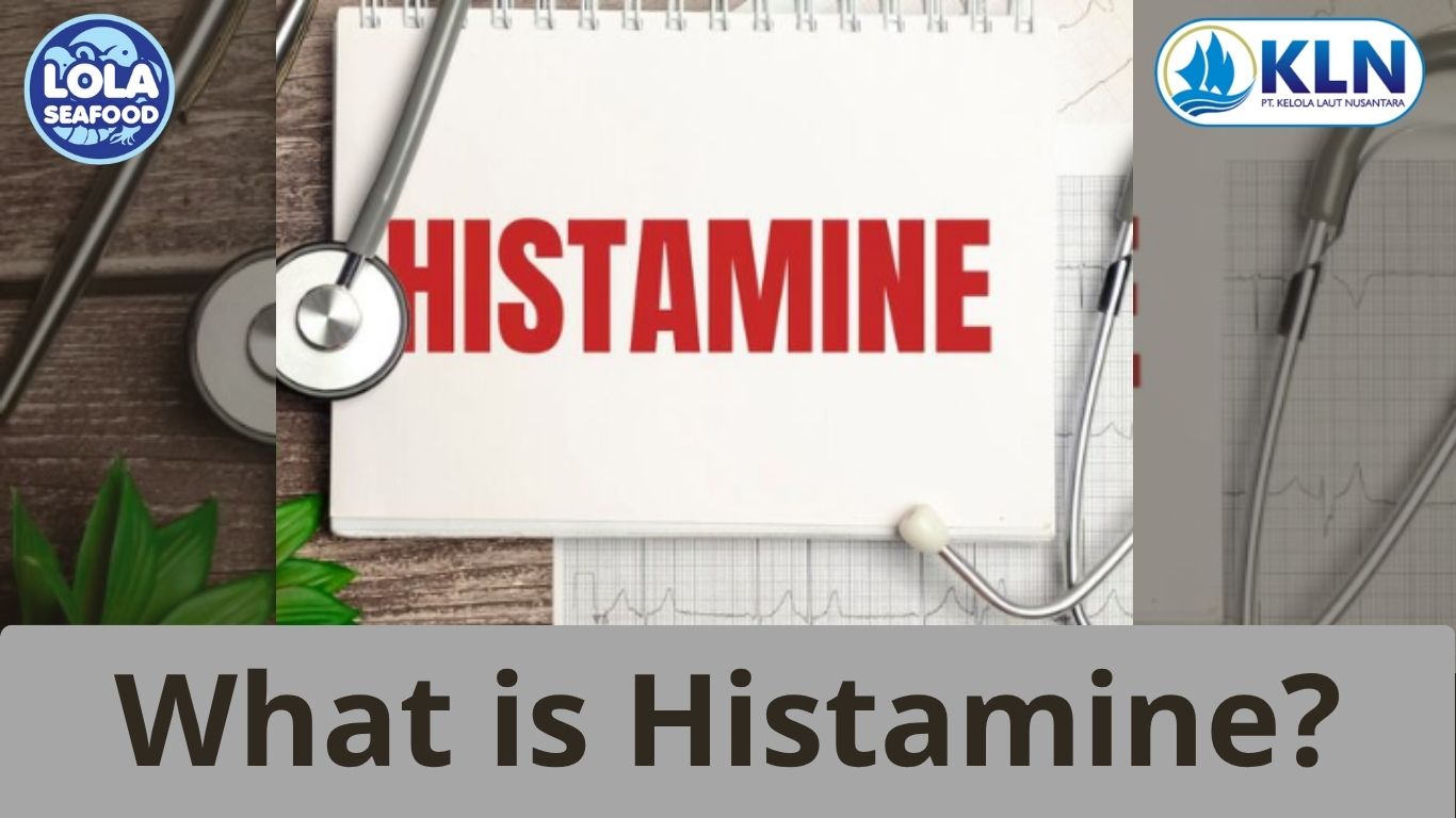 What is Histamine?